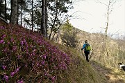 47 L'erica in fiore ci accompagna